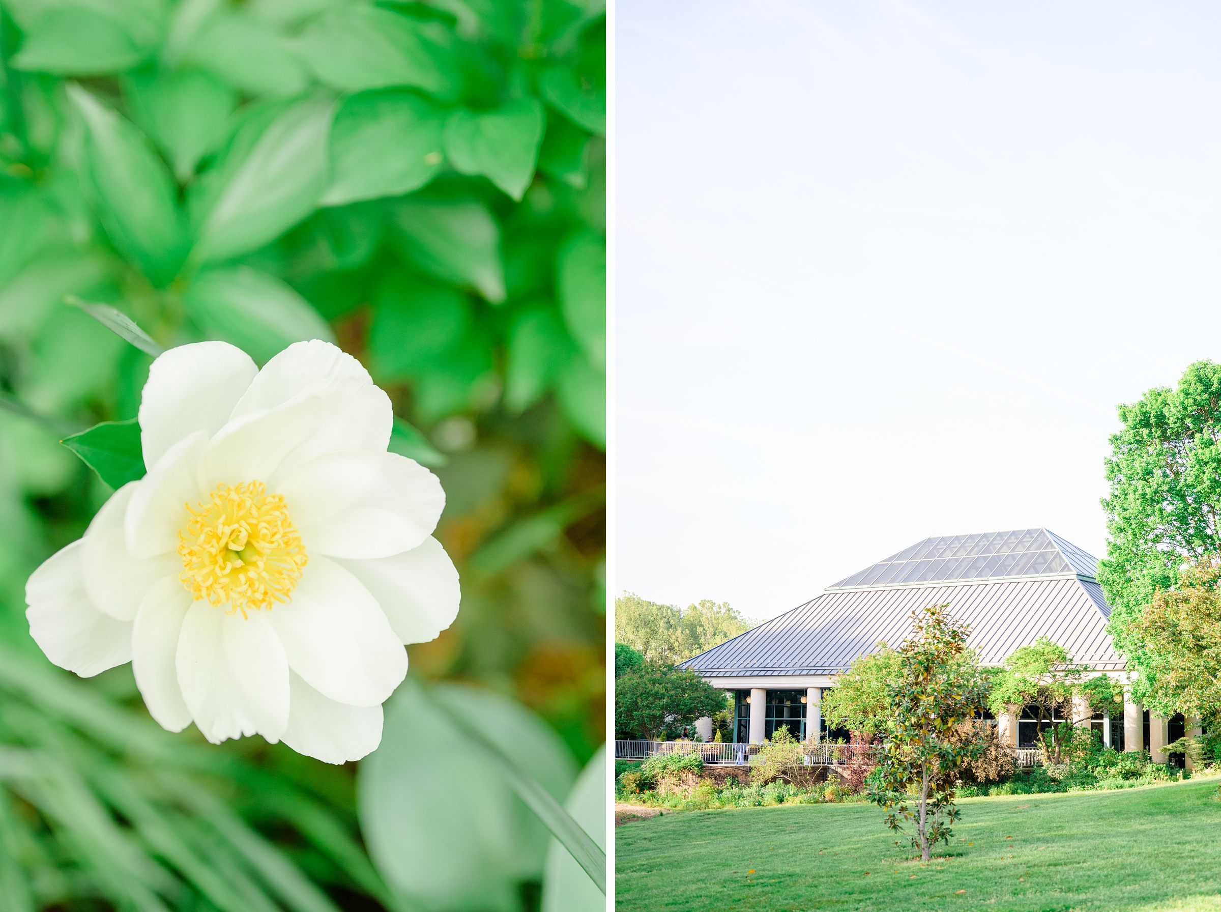 Spring wedding day at The Atrium at Meadowlark Botanical Gardens Photographed by Baltimore Wedding Photographer Cait Kramer Photography