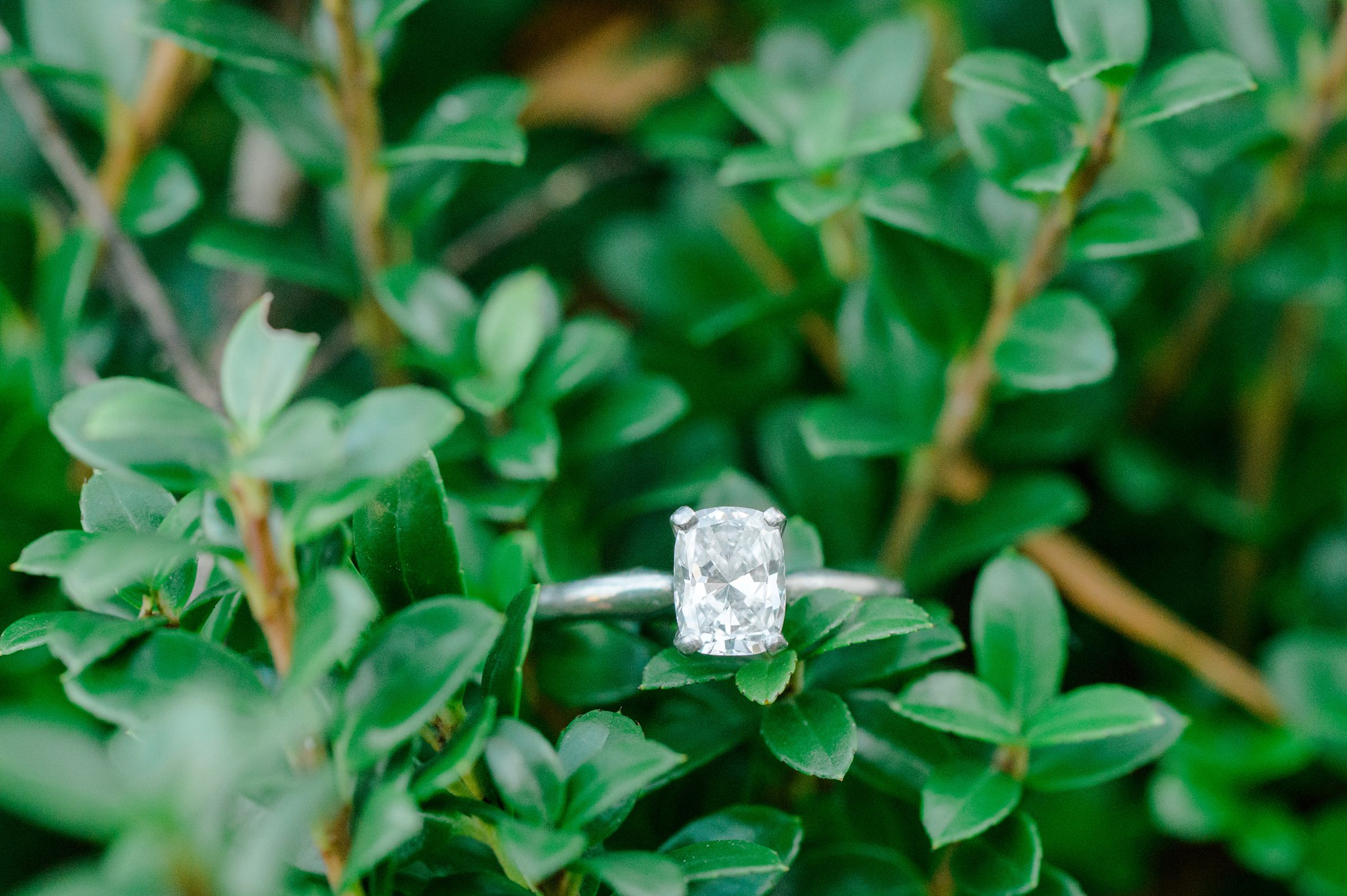 Mount Vernon Engagement Photos in Northern Virginia photographed by Baltimore Wedding Photographer Cait Kramer