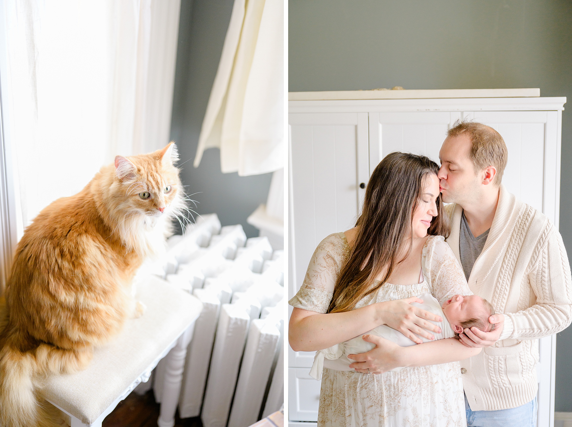 Old Town Alexandria In Home Newborn Session photographed by Baltimore Newborn Photographer Cait Kramer.