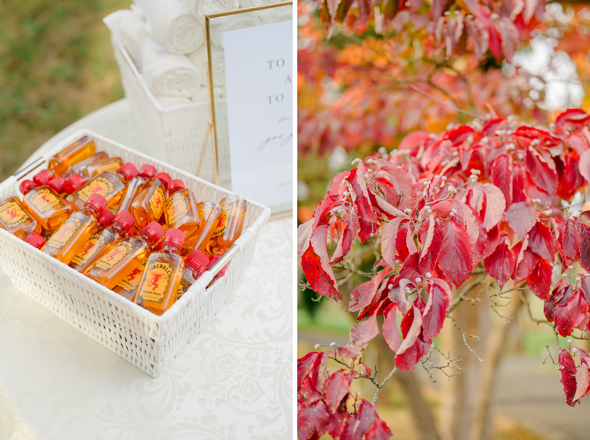 Wedding Ceremony at Poplar Springs Manor in Warrenton, Virginia photographed by Baltimore Wedding Photographer Cait Kramer