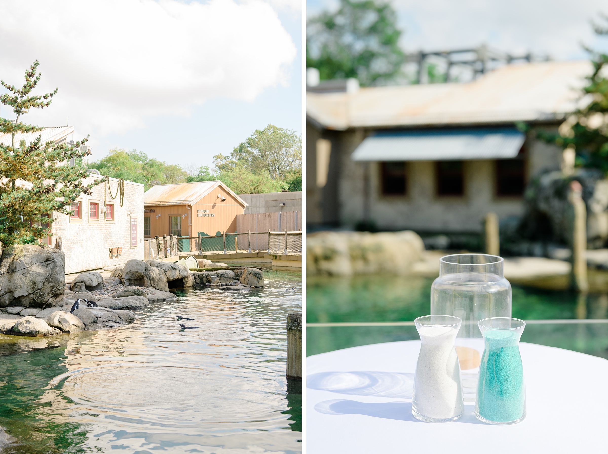 Wedding Ceremony at the Maryland Zoo in Baltimore, MD photographed by Baltimore Wedding Photographer Cait Kramer