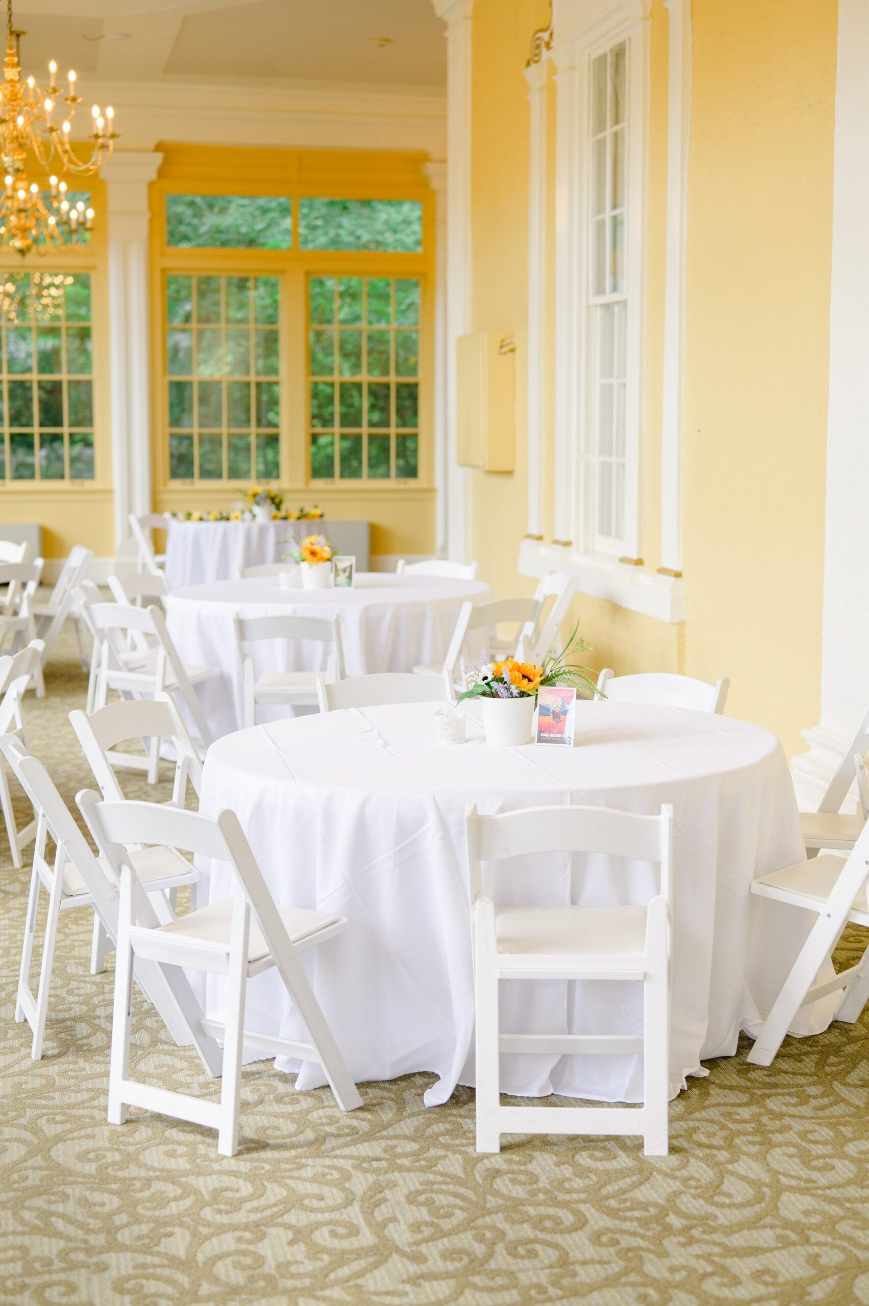 Wedding Reception at the Maryland Zoo in Baltimore, MD photographed by Baltimore Wedding Photographer Cait Kramer