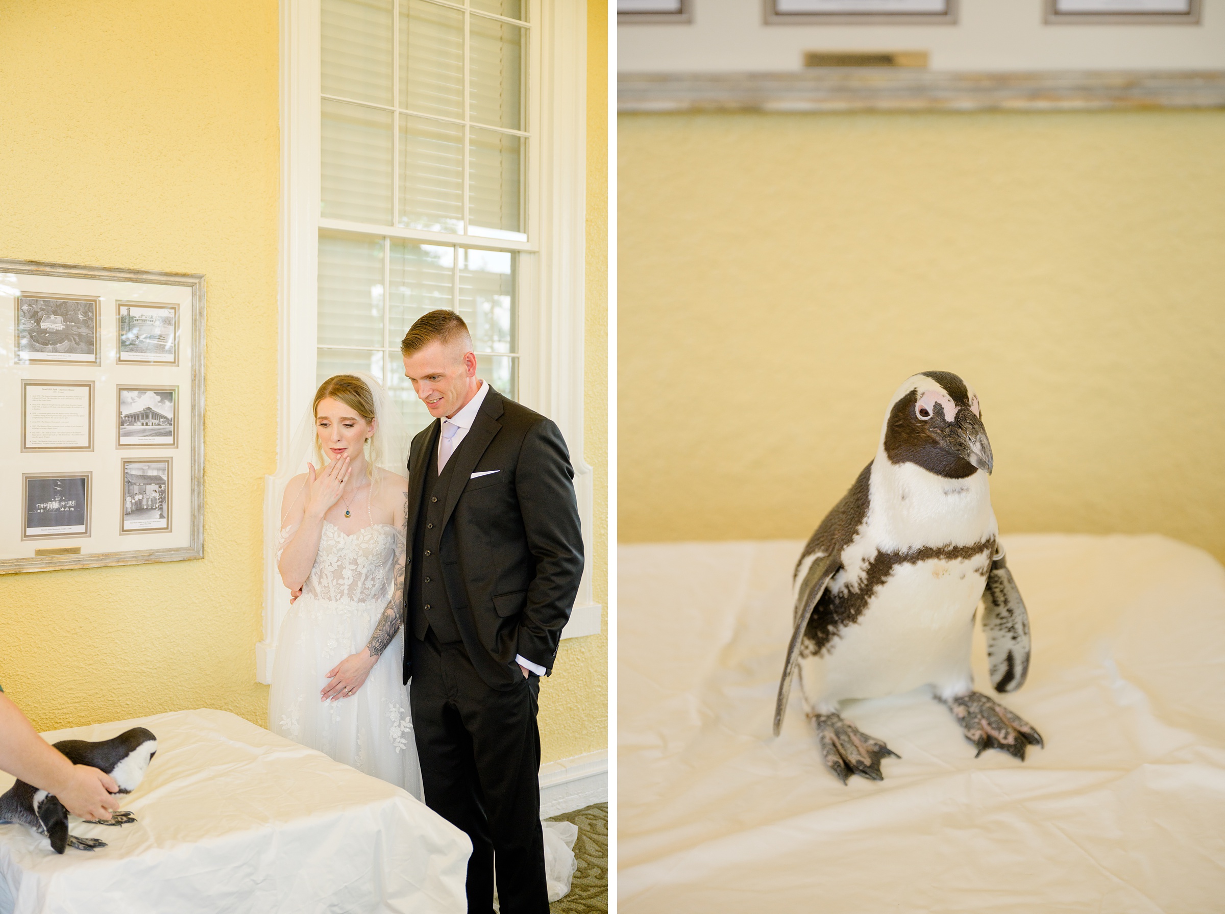 Wedding Reception at the Maryland Zoo in Baltimore, MD photographed by Baltimore Wedding Photographer Cait Kramer