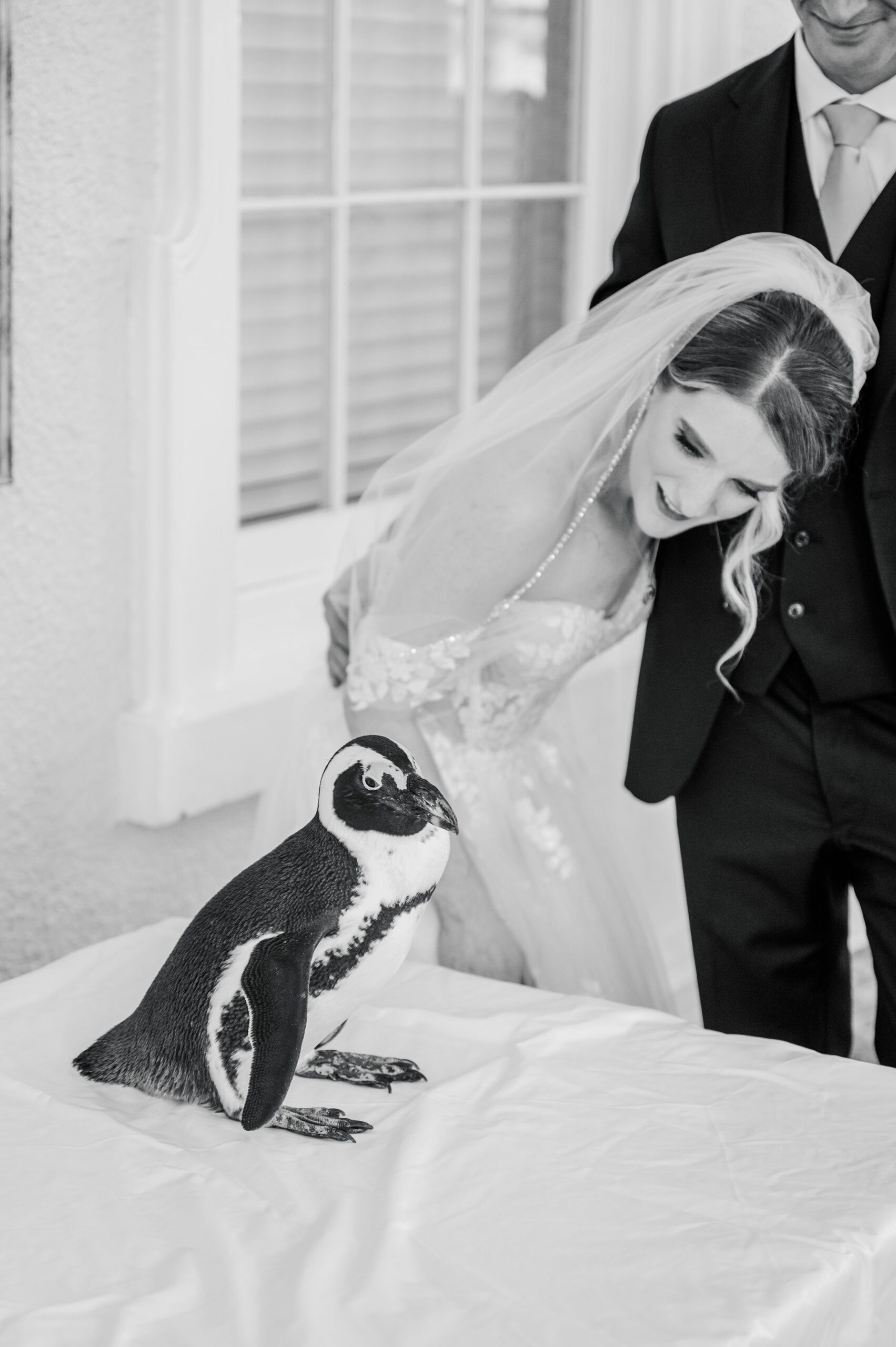 Wedding Reception at the Maryland Zoo in Baltimore, MD photographed by Baltimore Wedding Photographer Cait Kramer