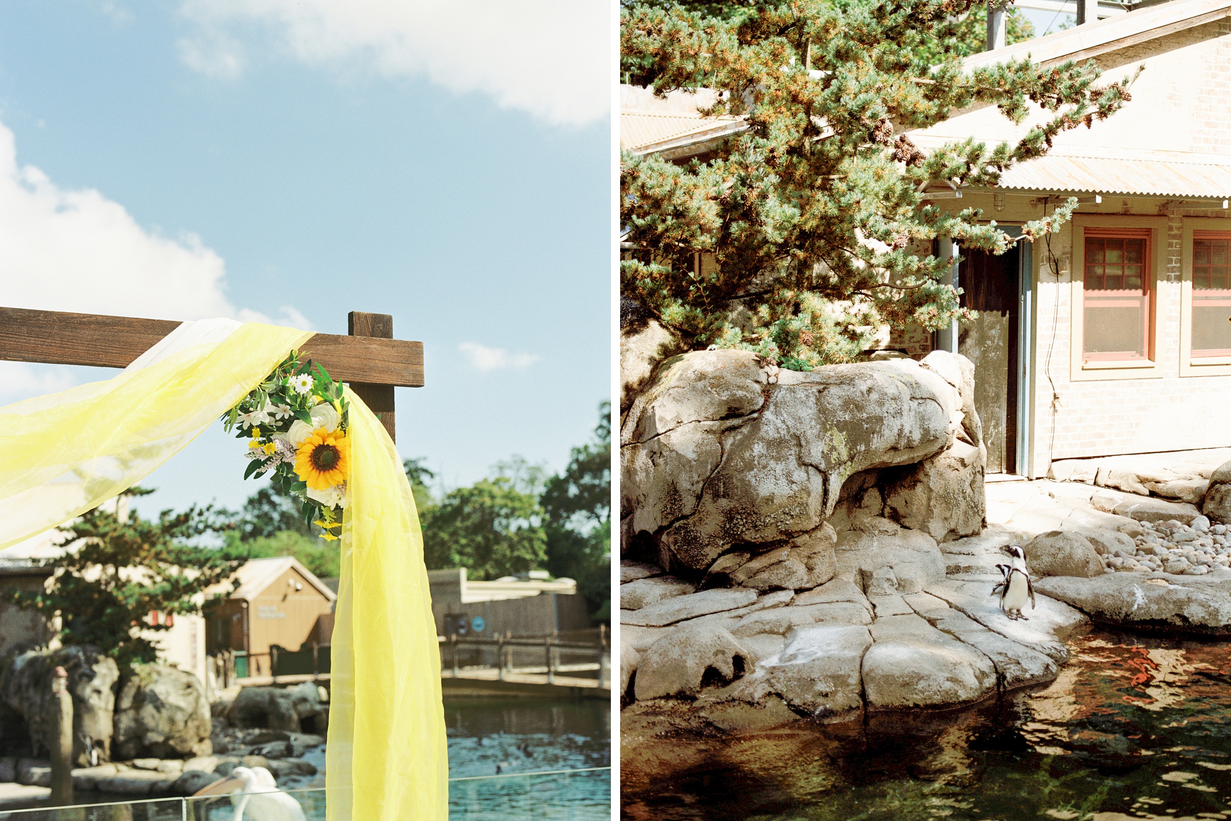 Fall Wedding Day at the Maryland Zoo in Baltimore, MD photographed by Baltimore Wedding Photographer Cait Kramer