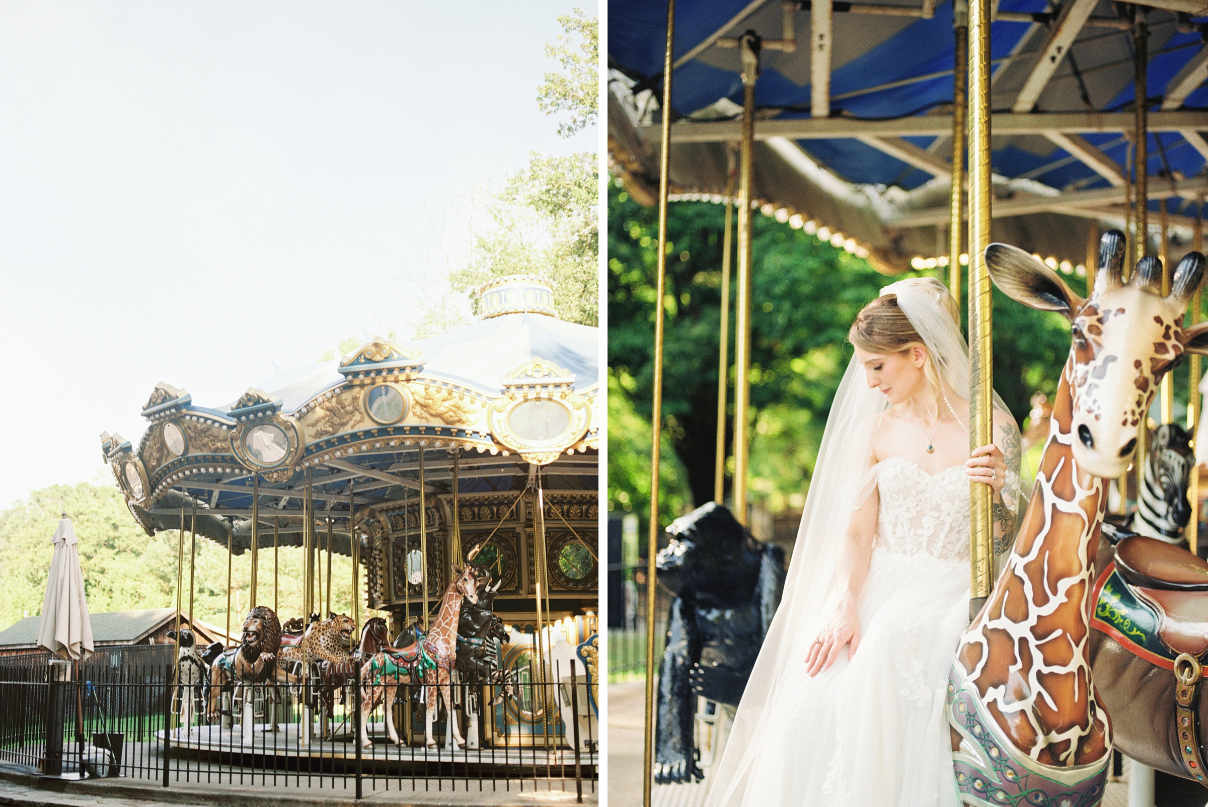 Fall Wedding Day at the Maryland Zoo in Baltimore, MD photographed by Baltimore Wedding Photographer Cait Kramer