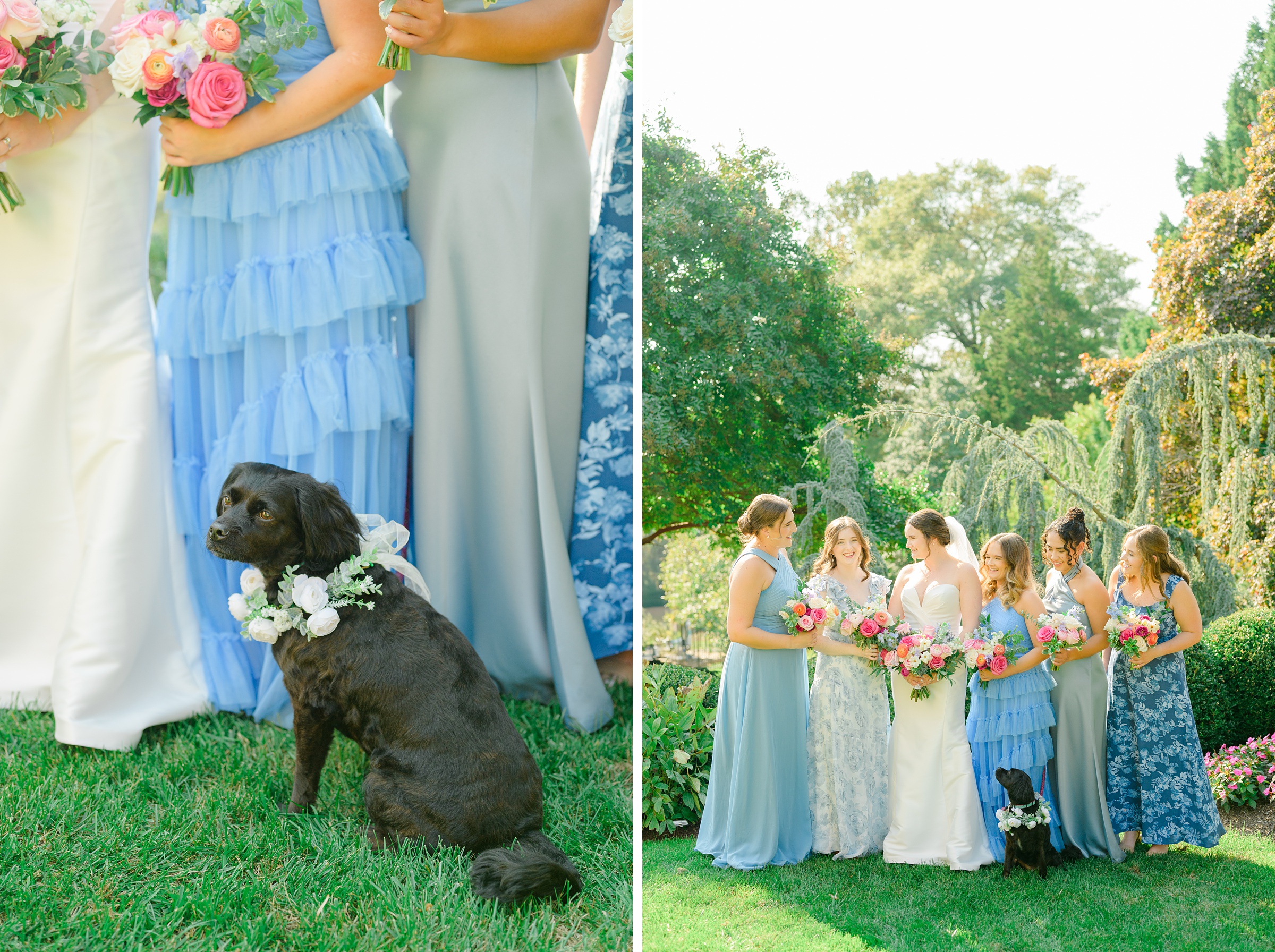 Bride and Bridesmaids Portraits at Belmont Manor Wedding in Elkridge, Maryland photographed by Baltimore Wedding Photographer Cait Kramer