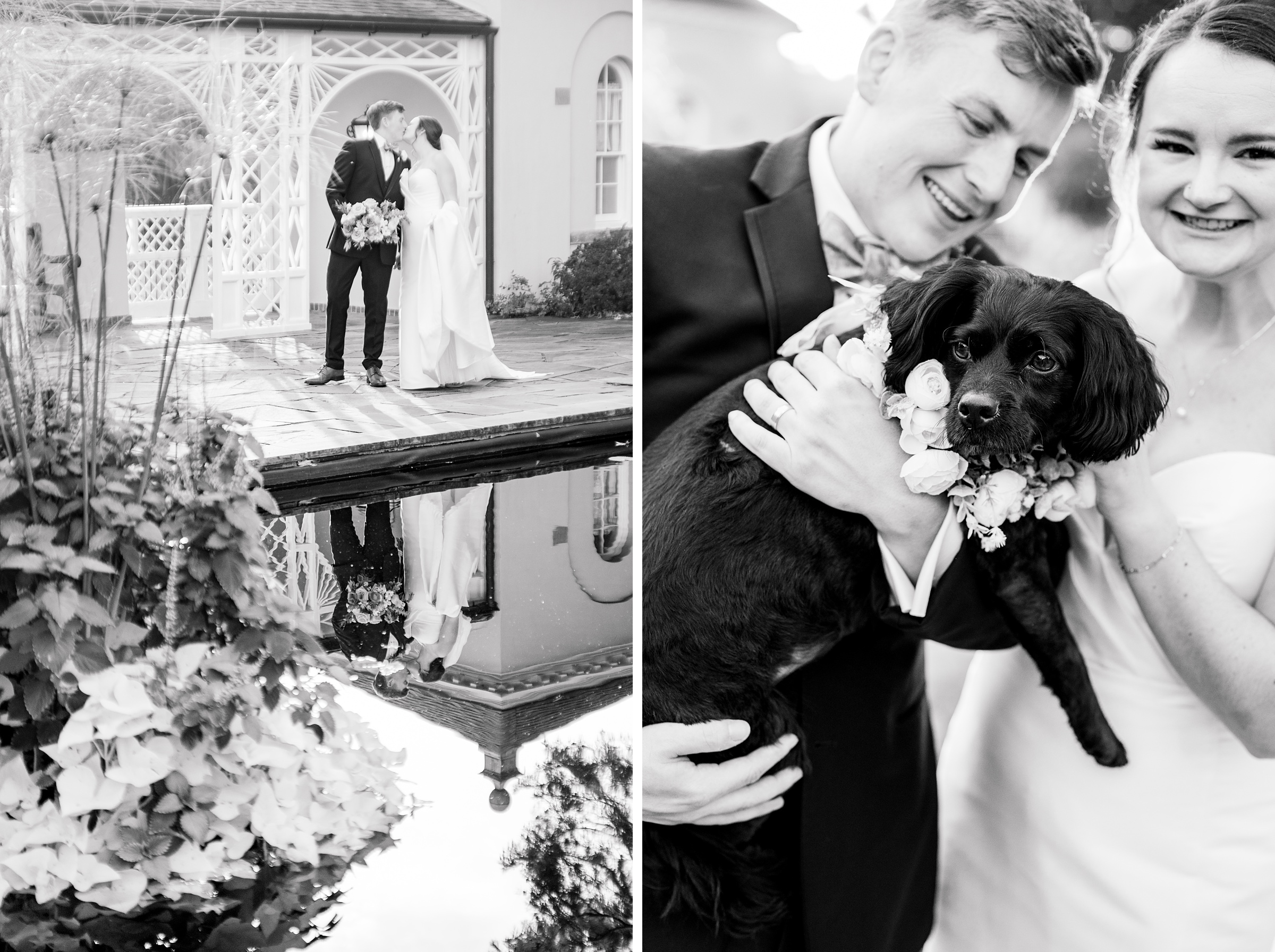 Bride & Groom Portraits at Belmont Manor Wedding in Elkridge, Maryland photographed by Baltimore Wedding Photographer Cait Kramer