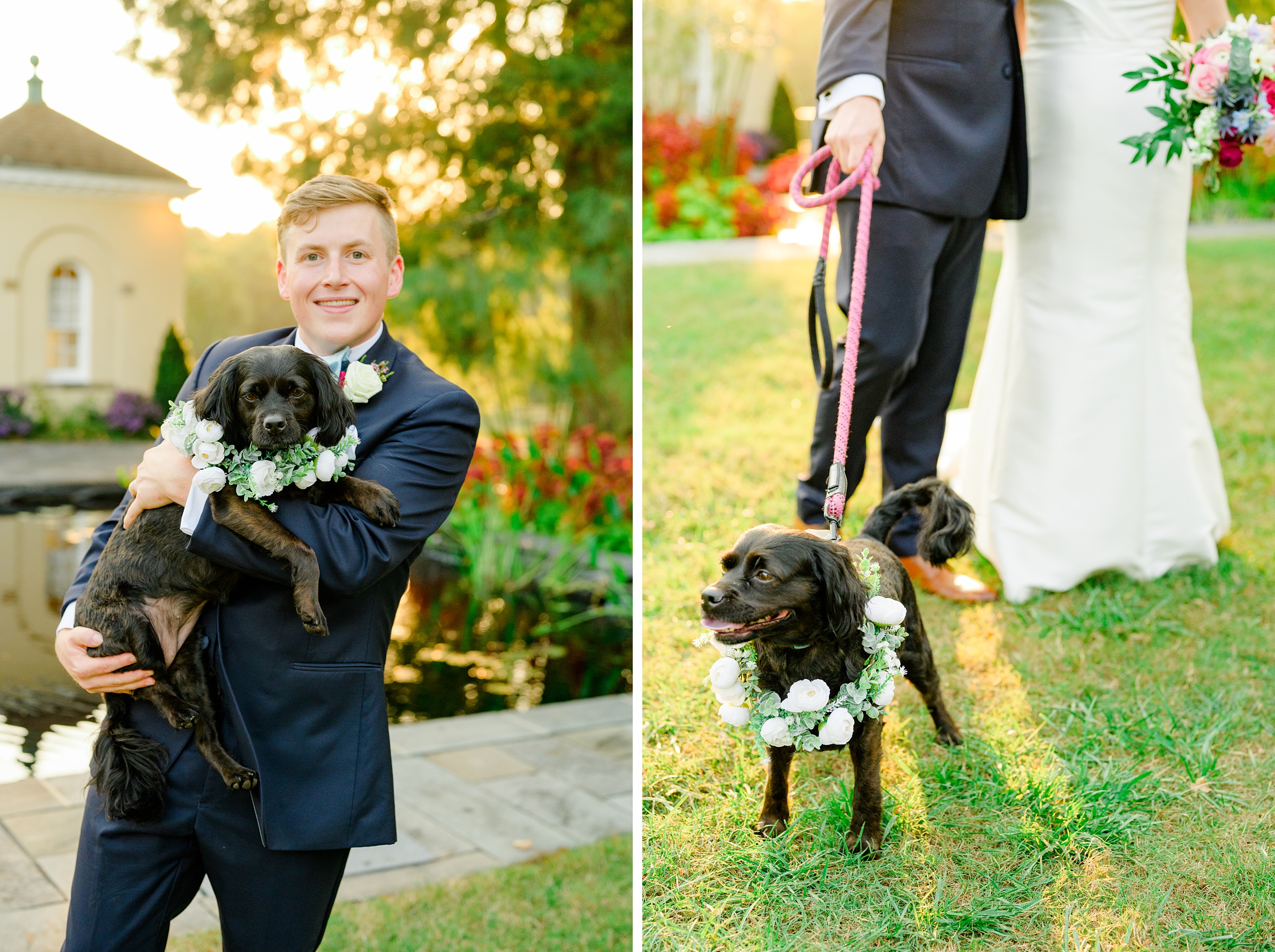 Bride & Groom Portraits at Belmont Manor Wedding in Elkridge, Maryland photographed by Baltimore Wedding Photographer Cait Kramer