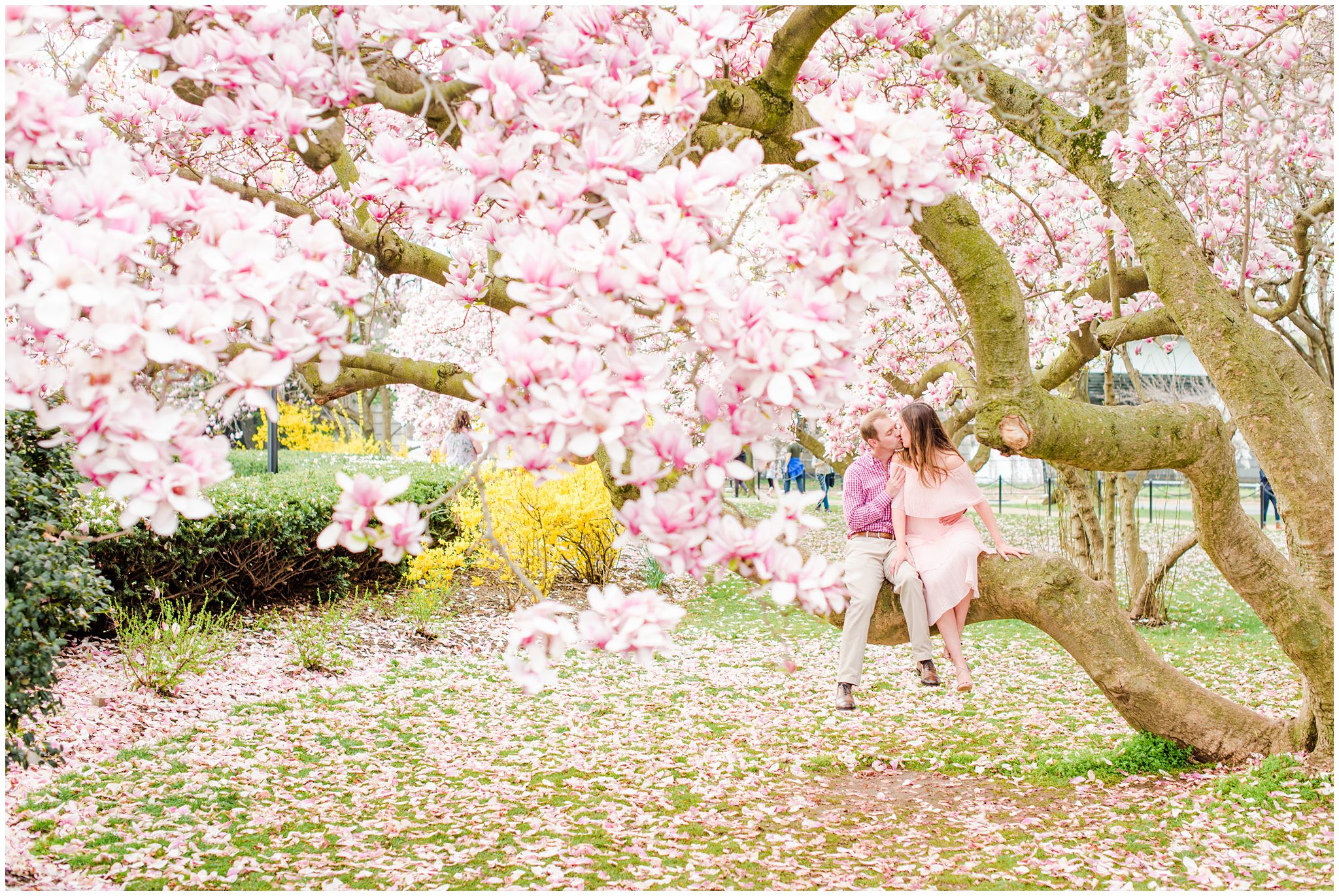 Laurian and Chris | A Sunrise Cherry Blossom Engagement Session at the ...