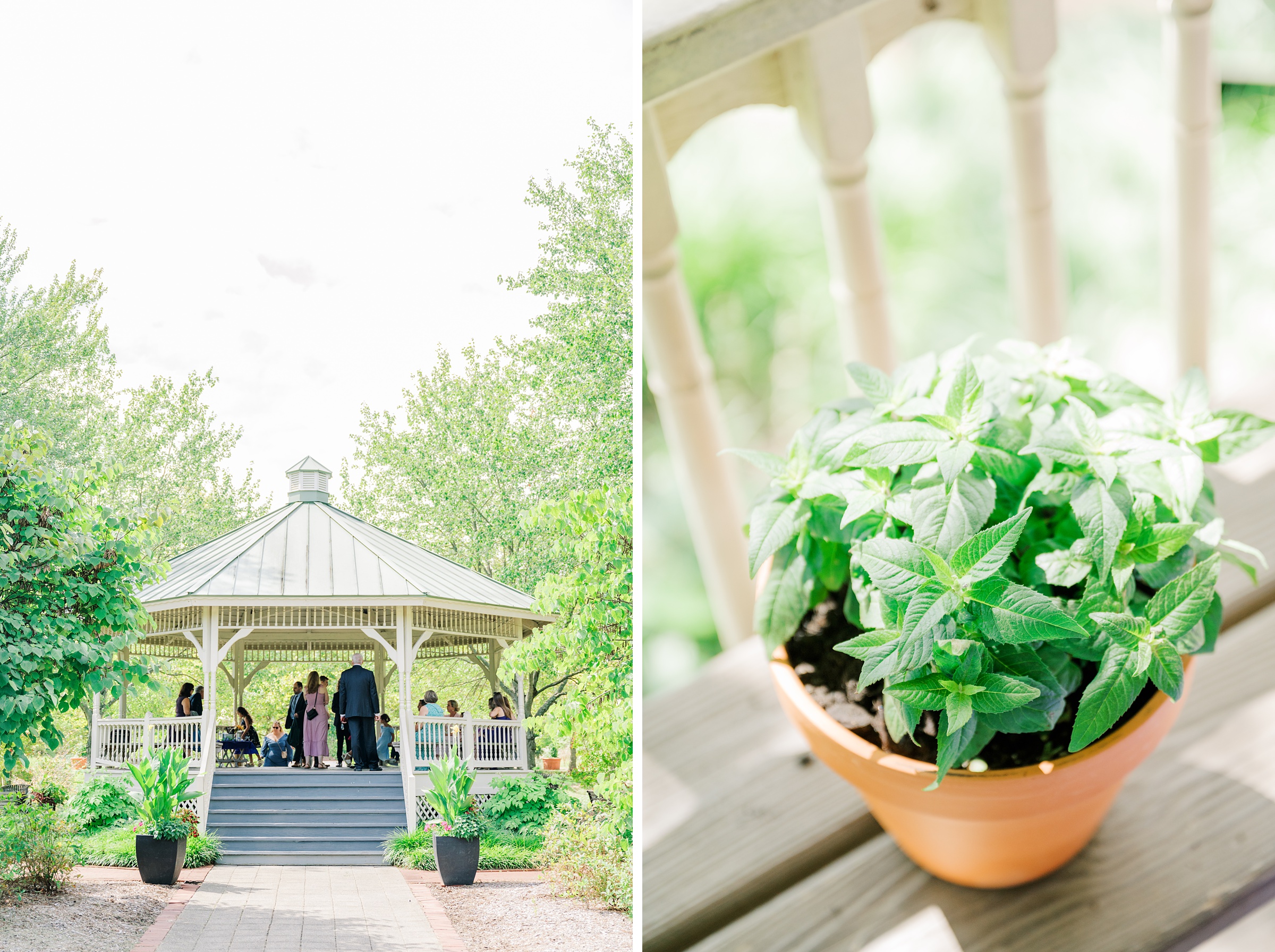 Quiet Waters Park Elopement in Annapolis, Maryland photographed by Baltimore Wedding Photographer Cait Kramer.